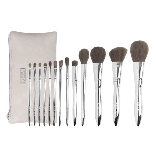 Imagic 13pieces Silver Color Brush With Bag